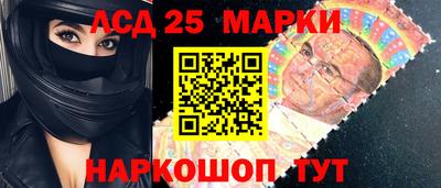 стафф Кингисепп