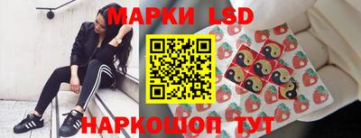гашик Кимры