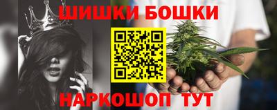 стафф Кингисепп