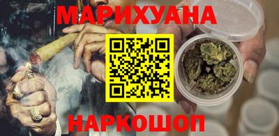 стафф Кингисепп