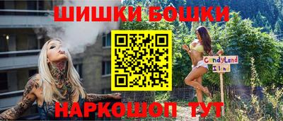 стафф Кингисепп