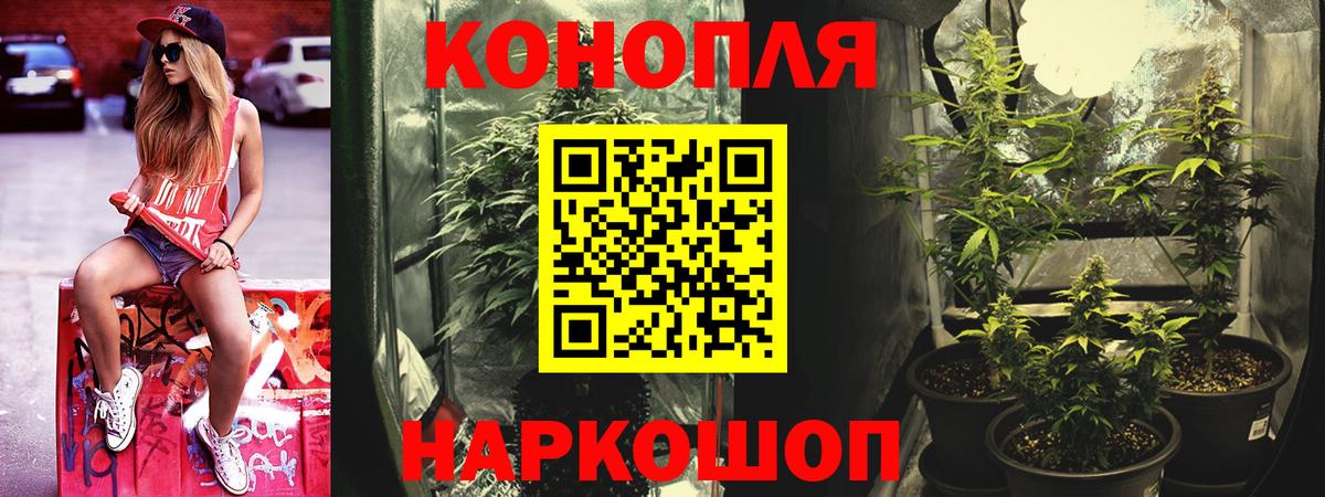 Бошки марихуана ГИДРОПОН  Шишки марихуана сатива  Кохма  Бошки Шишки Ganja  Вход с VPN  МАРИХУАНА Amnesia 